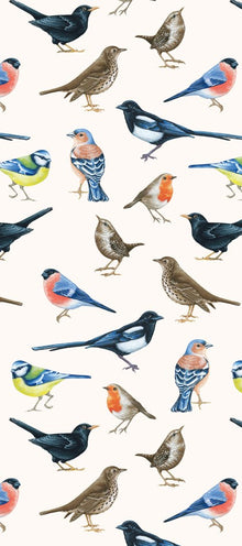 British Birds Gift Wrap Sheet