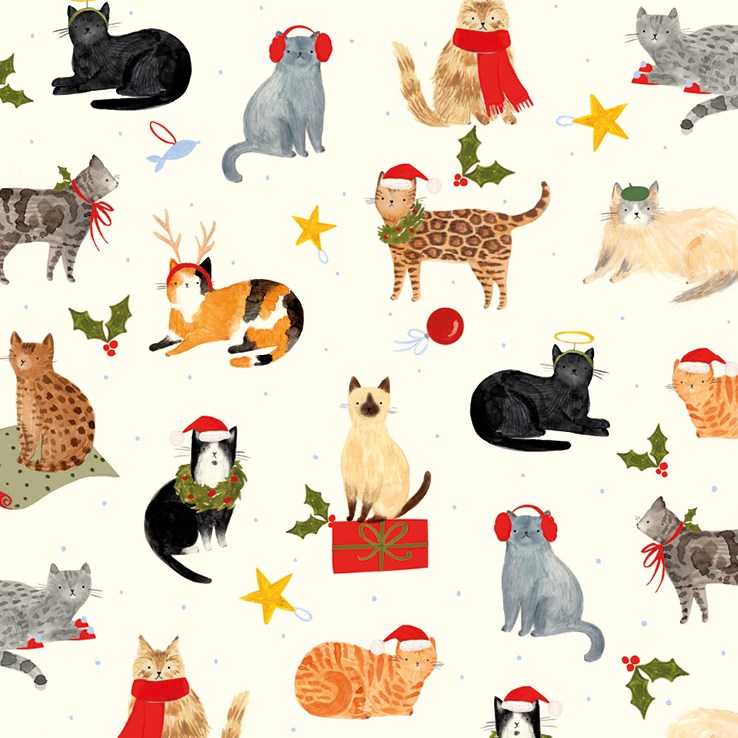 Santa Paws Cat Wallet Christmas Card Wallet (10 Cards) – view 2