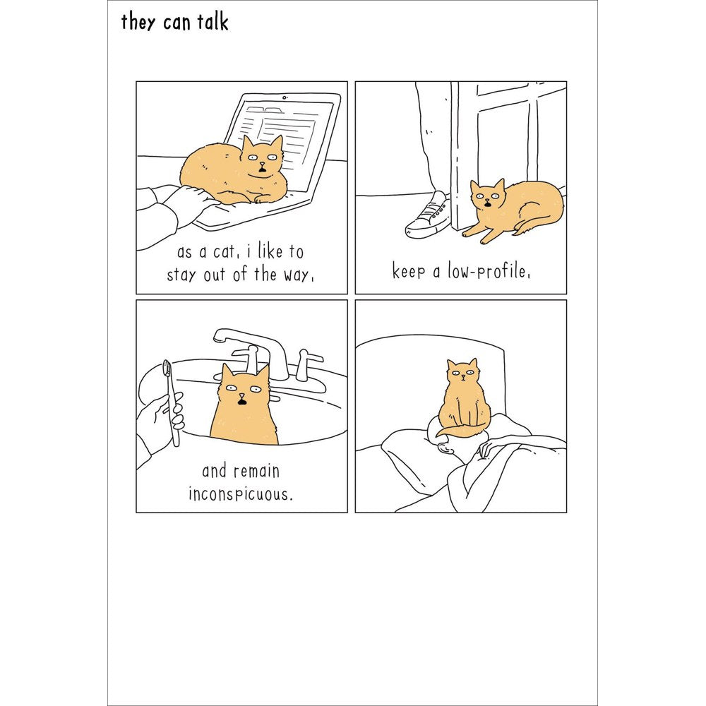 They Can Talk cat card – ginger cat on a laptop, in a sink and on a bed