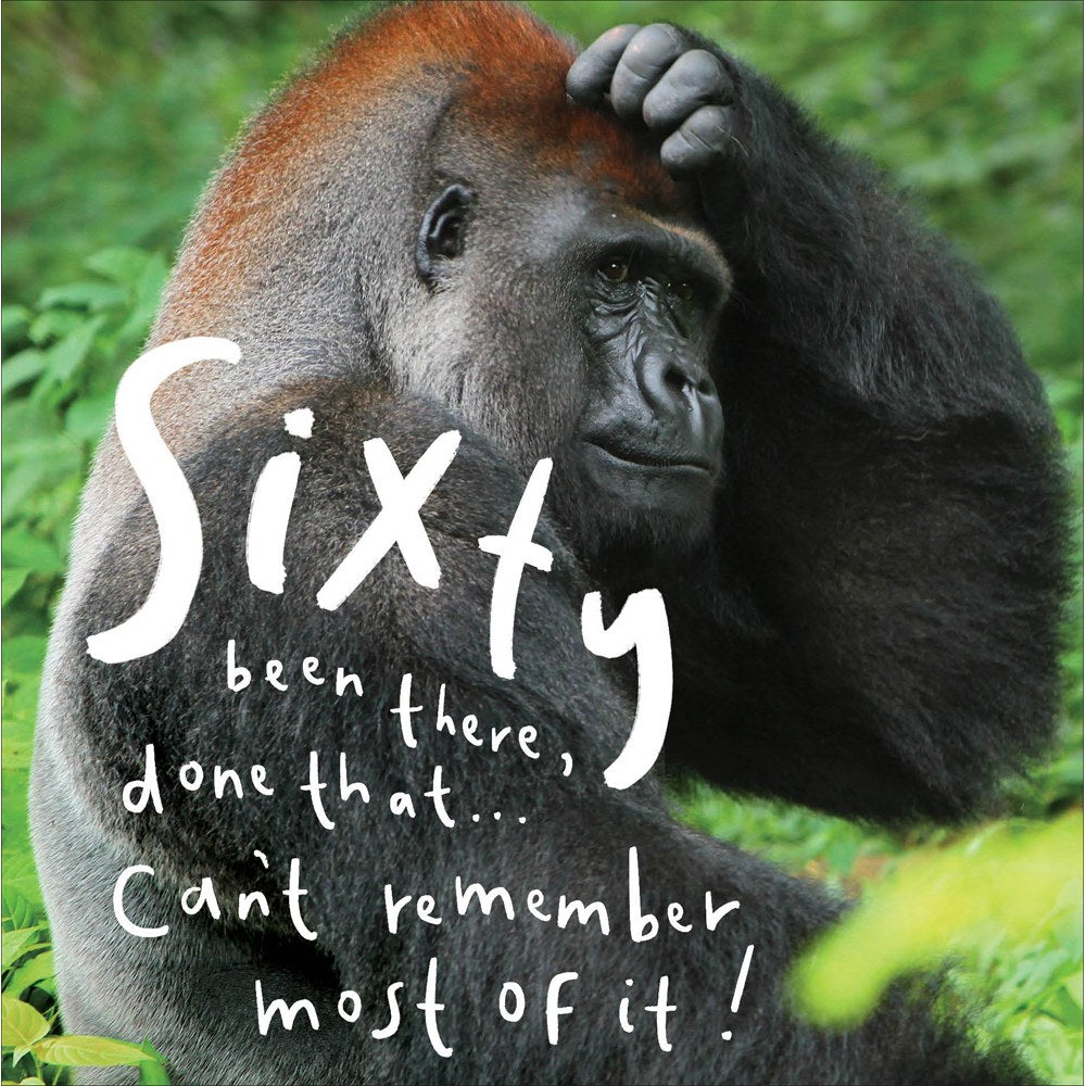 Sixty been there done that funny 60th birthday card with gorilla photograph