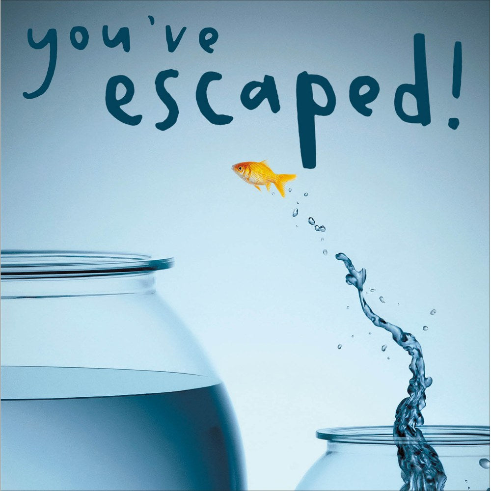 You've escaped leaving card – goldfish leaping out of a glass bowl