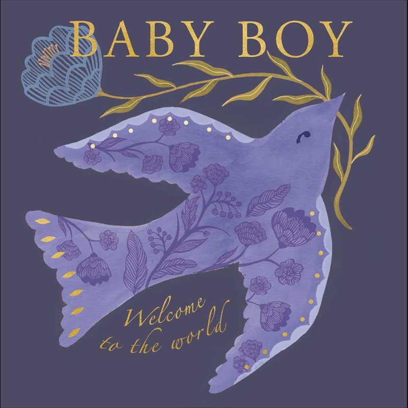 Baby Boy Greetings Card