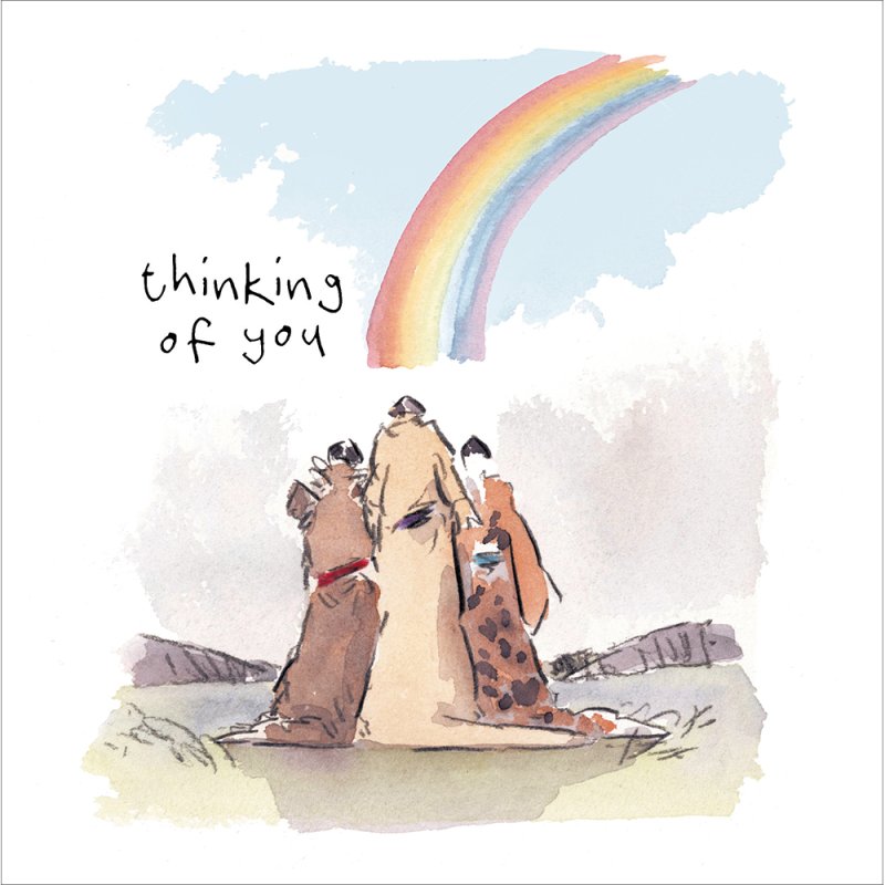 Rainbow Days Thinking Of You Greetings Card