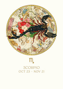 Scorpio Myrtle & Mary Zodiac Card
